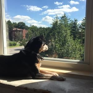 Meet your Posher, Freddie